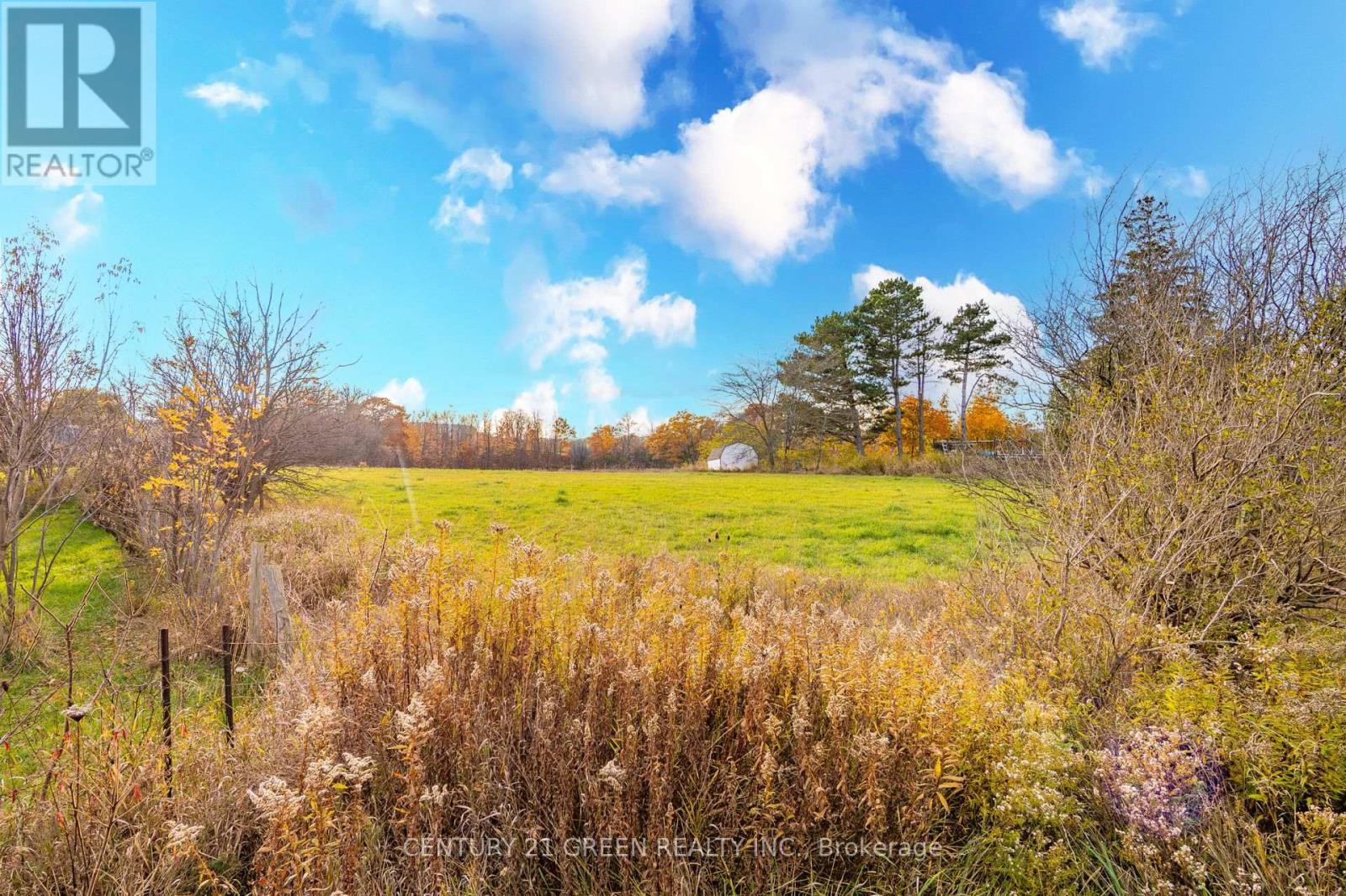 4512 Tremaine Road, Milton (Tr Rural Trafalgar), Ontario  L9T 2Y1 - Photo 48 - W13012422