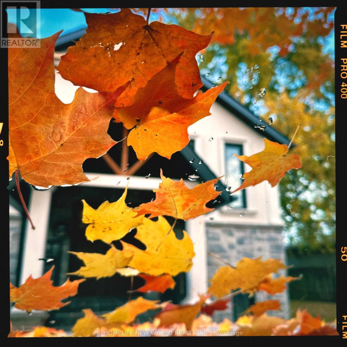 7 - 1525 Kenmuir Avenue, Mississauga, Ontario  L5G 4B6 - Photo 4 - W13012462