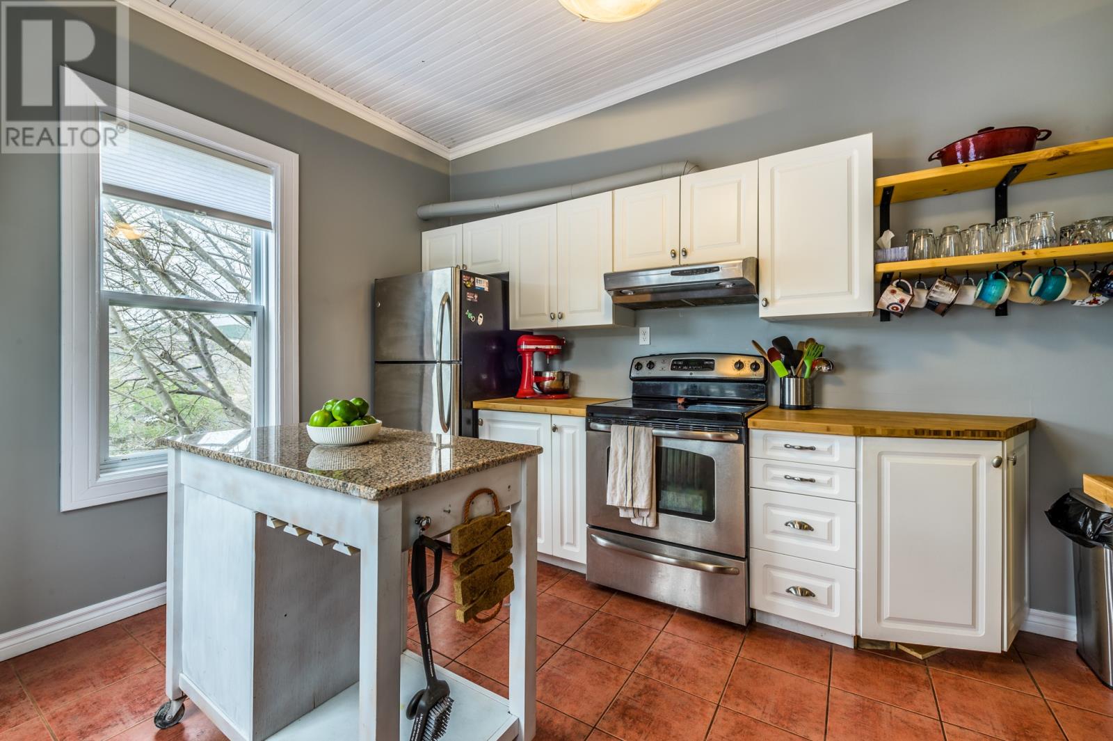 155 Pleasant Street, St Johns, Newfoundland & Labrador  A1E 1M1 - Photo 10 - 1296313