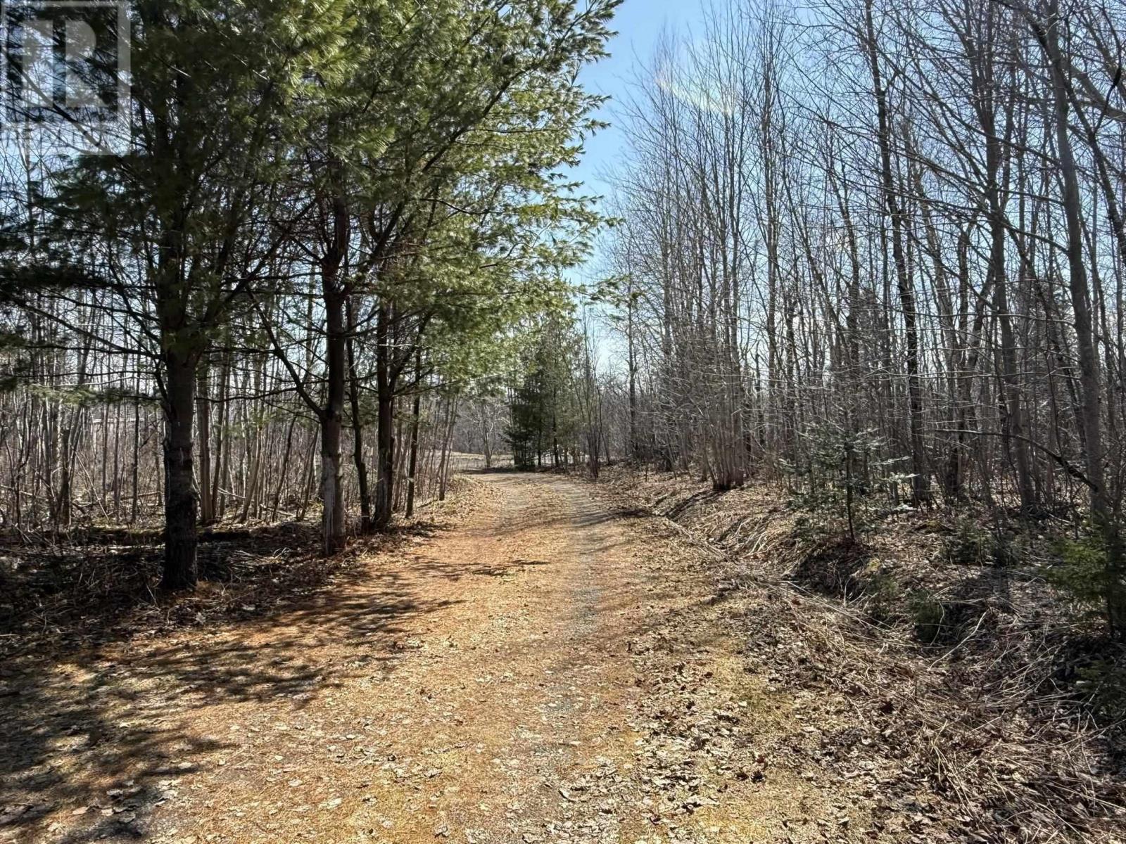 259 Angevine Road, Angevine Lake, Nova Scotia  B0K 1Y0 - Photo 13 - 202607179