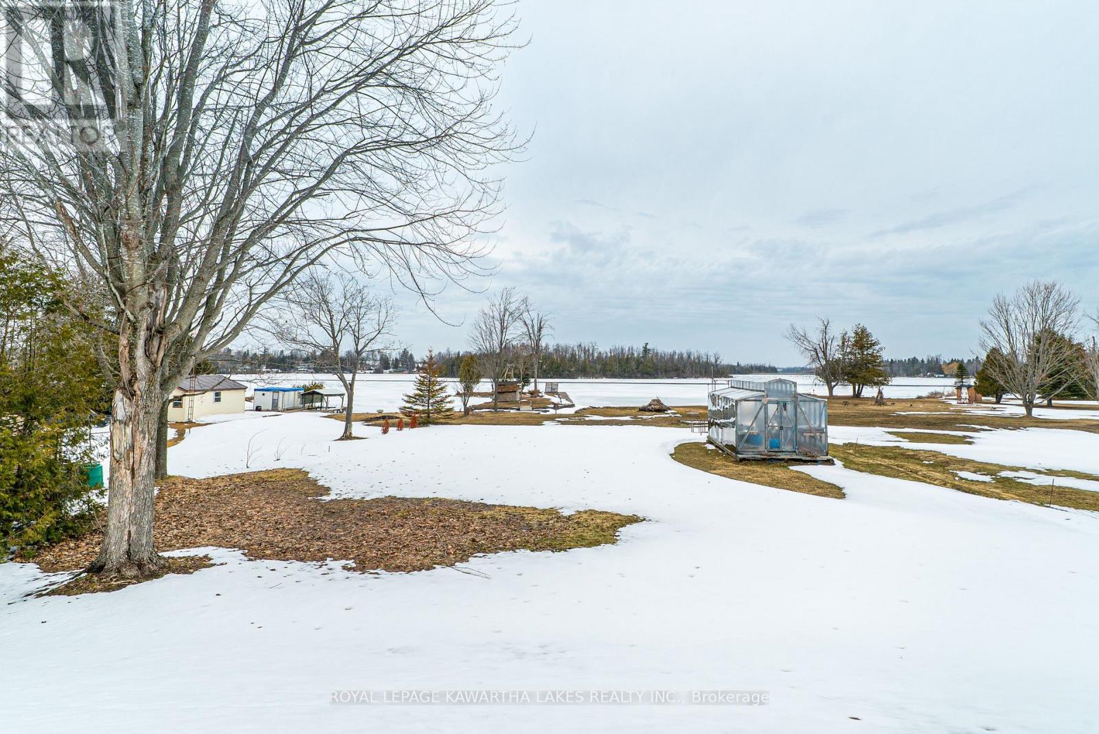 63 Robinson Avenue, Kawartha Lakes, Ontario  K0M 2B0 - Photo 48 - X12929112
