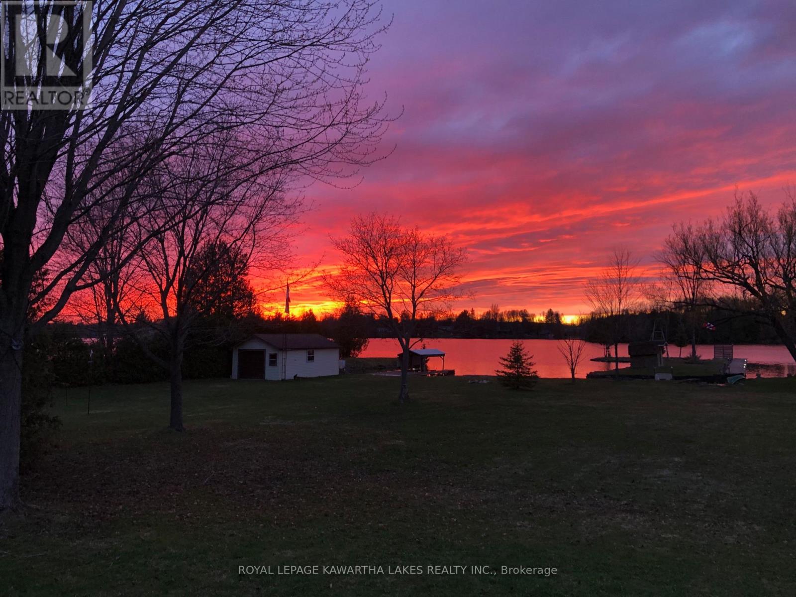 63 Robinson Avenue, Kawartha Lakes, Ontario  K0M 2B0 - Photo 49 - X12929112