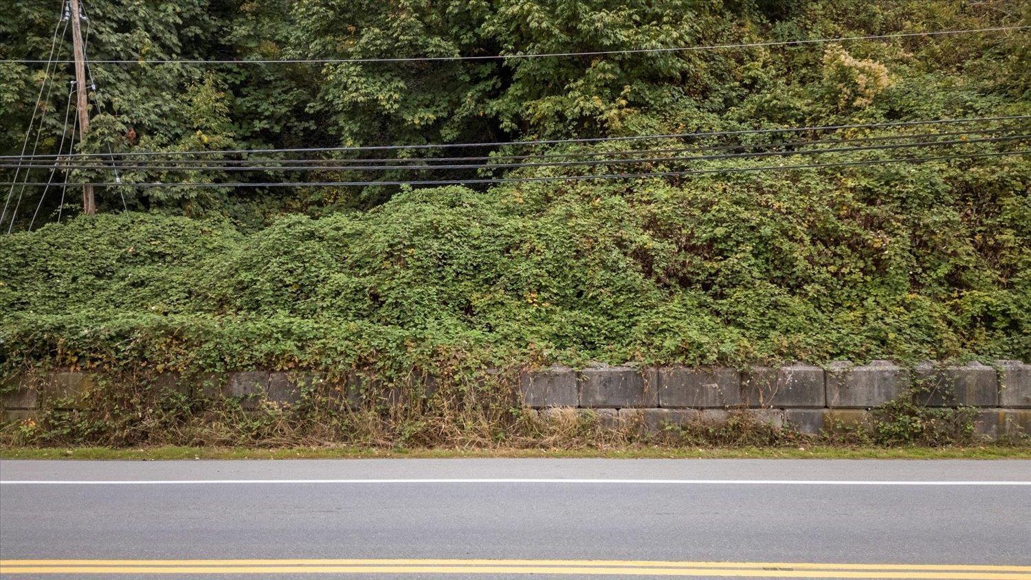 47165 Yale Road, Little Mountain, Chilliwack, British Columbia  V2P 7M9 - Photo 9 - R3111767