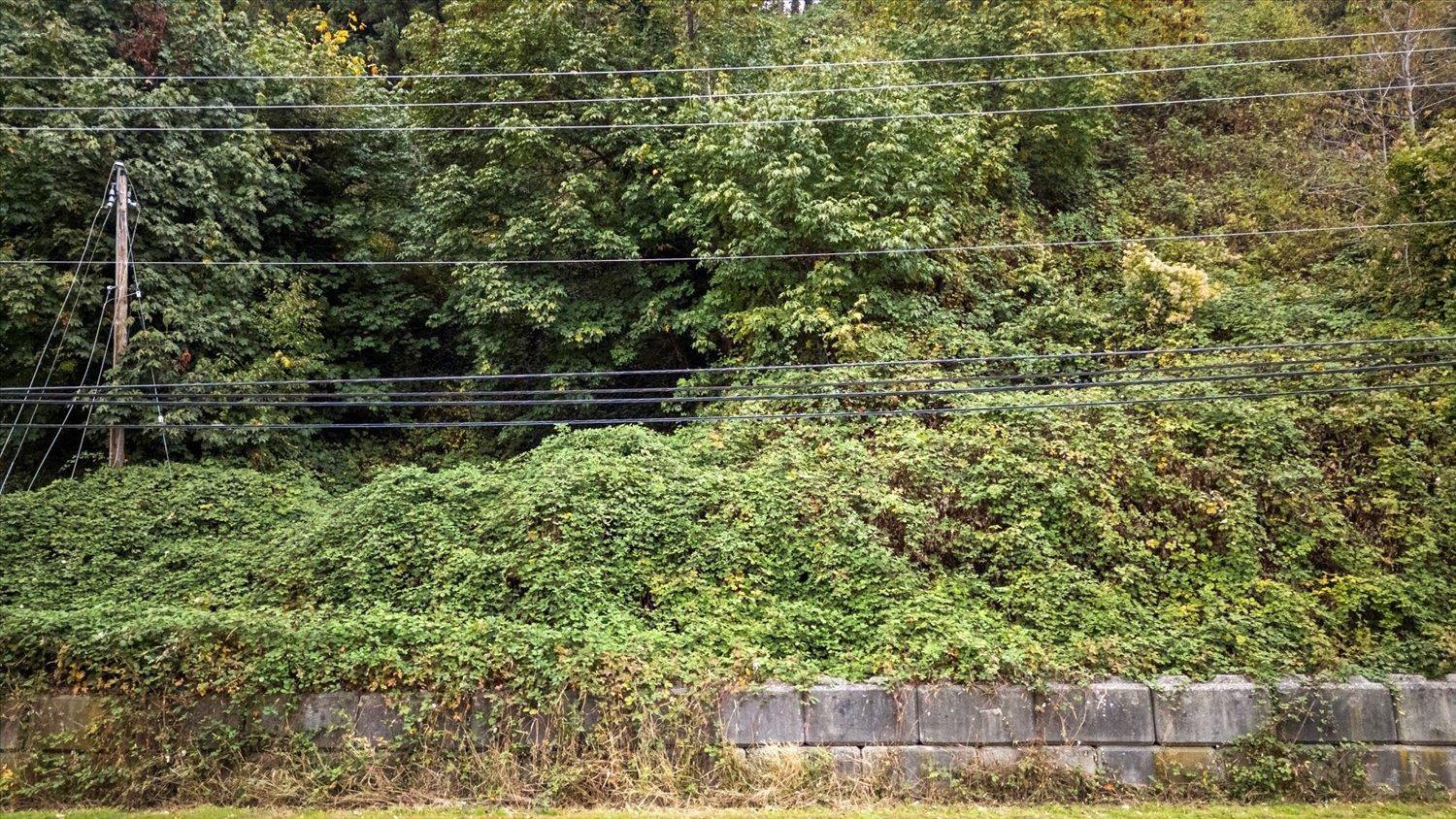 47165 Yale Road, Little Mountain, Chilliwack, British Columbia  V2P 7M9 - Photo 16 - R3111767