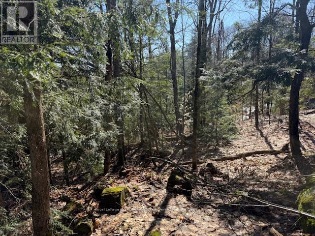 0 South Crane Lake Road, The Archipelago, Ontario  P2A 0B7 - Photo 10 - X13012516