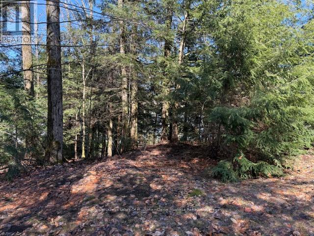 0 South Crane Lake Road, The Archipelago, Ontario  P2A 0B7 - Photo 11 - X13012516