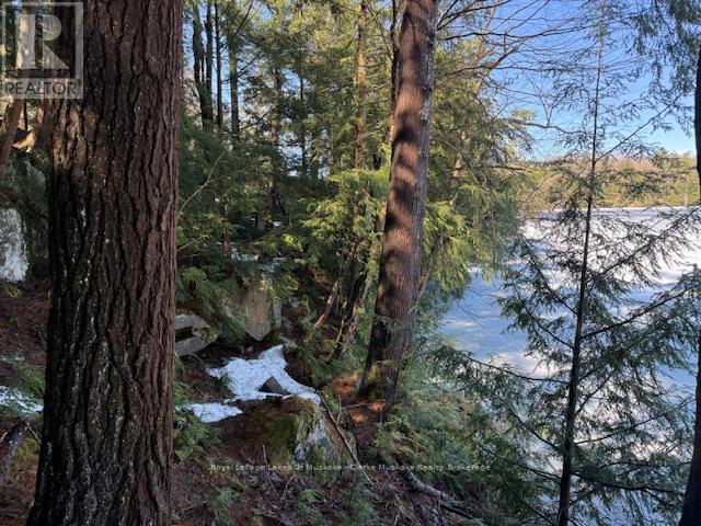 0 South Crane Lake Road, The Archipelago, Ontario  P2A 0B7 - Photo 14 - X13012516