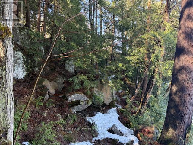 0 South Crane Lake Road, The Archipelago, Ontario  P2A 0B7 - Photo 15 - X13012516