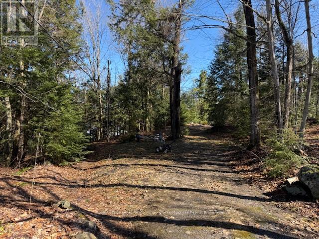 0 South Crane Lake Road, The Archipelago, Ontario  P2A 0B7 - Photo 2 - X13012516