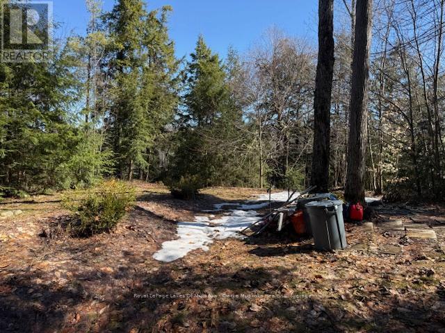 0 South Crane Lake Road, The Archipelago, Ontario  P2A 0B7 - Photo 3 - X13012516