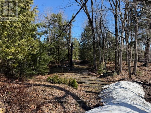 0 South Crane Lake Road, The Archipelago, Ontario  P2A 0B7 - Photo 4 - X13012516