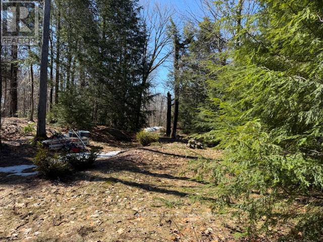 0 South Crane Lake Road, The Archipelago, Ontario  P2A 0B7 - Photo 5 - X13012516