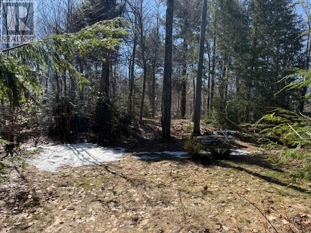 0 South Crane Lake Road, The Archipelago, Ontario  P2A 0B7 - Photo 6 - X13012516