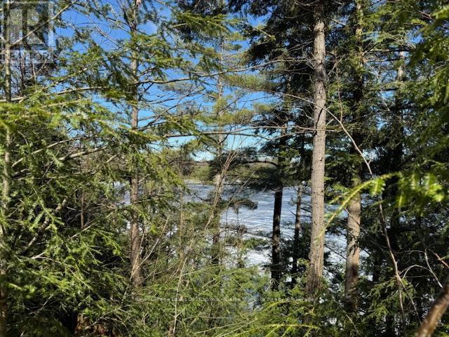 0 South Crane Lake Road, The Archipelago, Ontario  P2A 0B7 - Photo 7 - X13012516