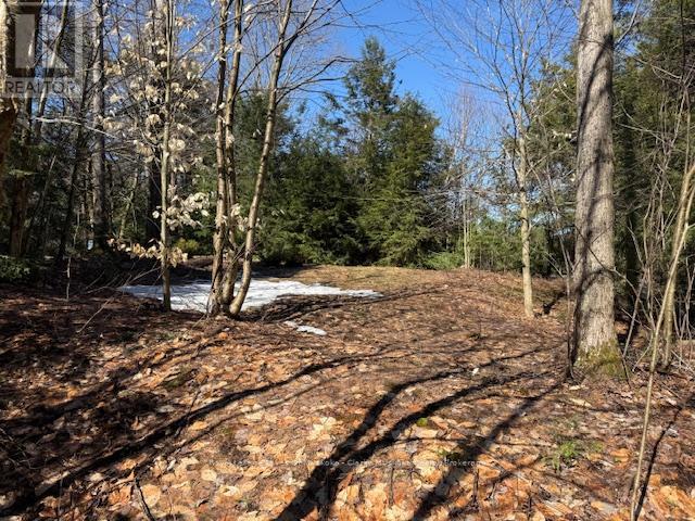 0 South Crane Lake Road, The Archipelago, Ontario  P2A 0B7 - Photo 8 - X13012516