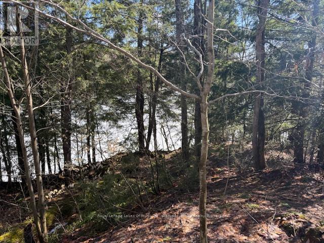 0 South Crane Lake Road, The Archipelago, Ontario  P2A 0B7 - Photo 9 - X13012516