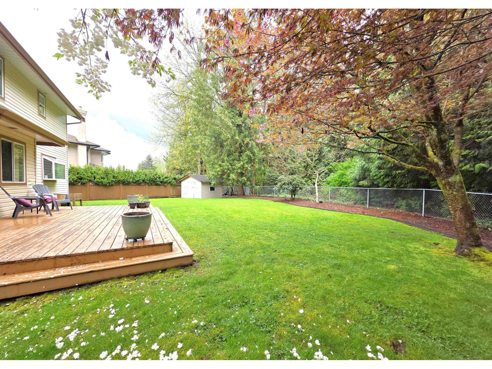 8412 213th Street, Langley, British Columbia  V1M 2J1 - Photo 29 - R3111080
