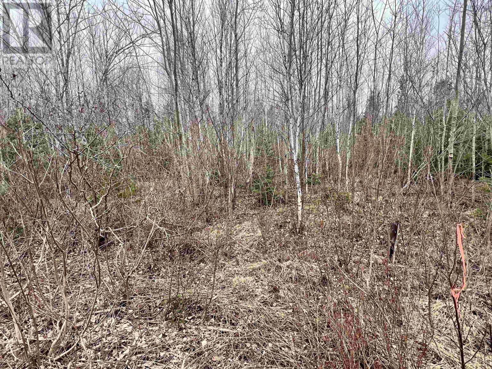 Dufferin Road, Sundridge, Nova Scotia  B0K 1R0 - Photo 4 - 202607805