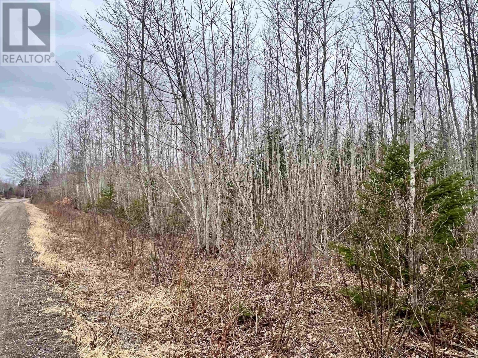 Dufferin Road, Sundridge, Nova Scotia  B0K 1R0 - Photo 6 - 202607805