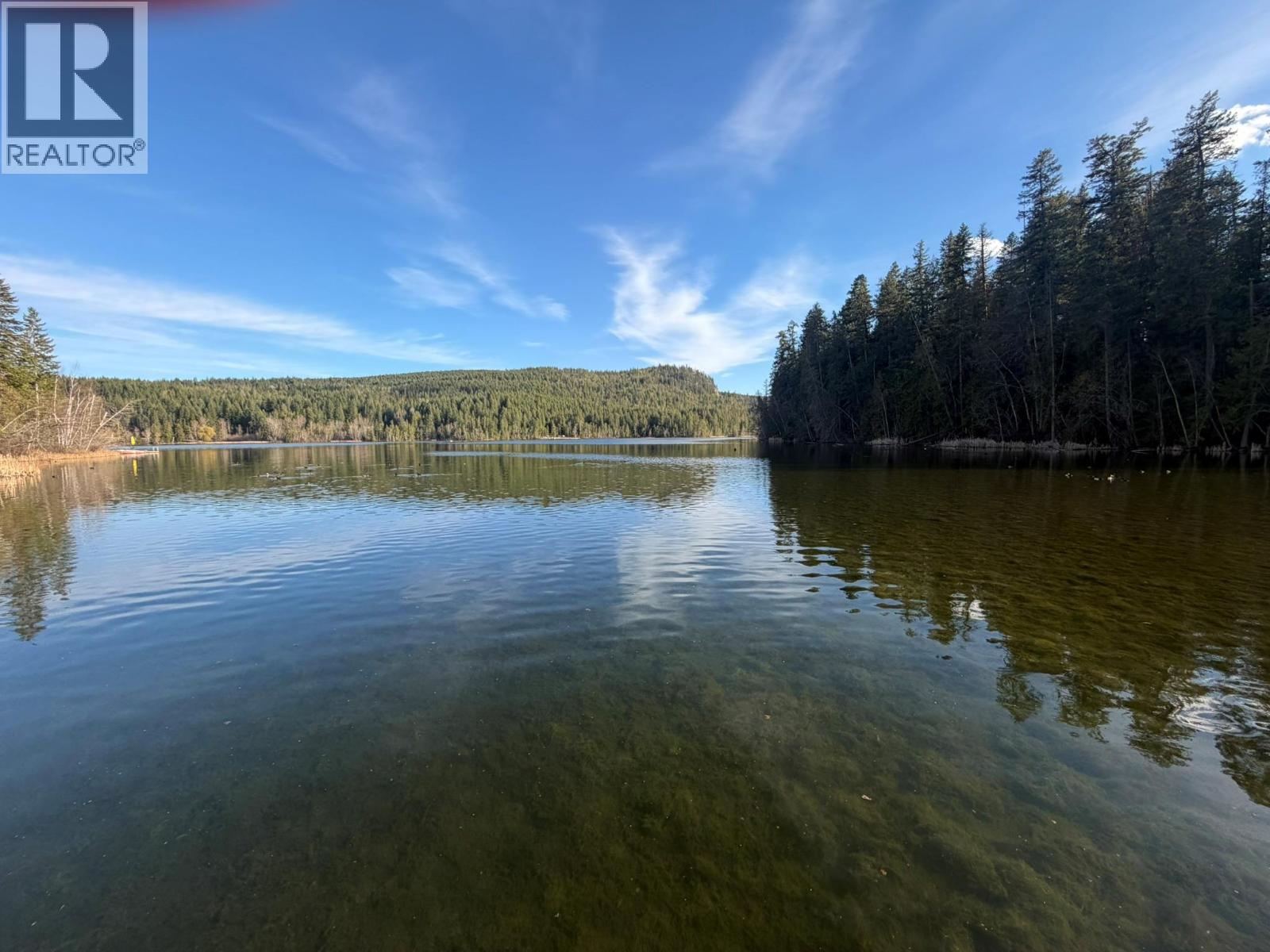 781 Gardom Lake Road, Enderby, British Columbia  V0E 1V3 - Photo 5 - 10370317