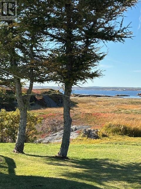 6 Blackmores Lane, New Wes Valley, Newfoundland & Labrador  A0G 3L0 - Photo 3 - 1296323