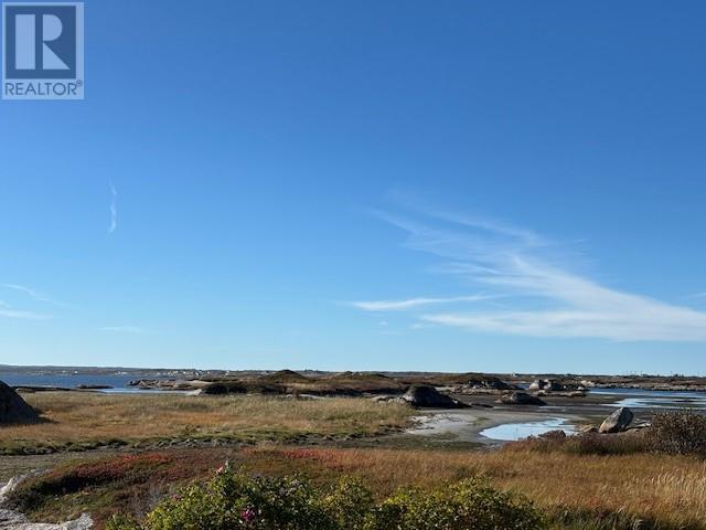 6 Blackmores Lane, New Wes Valley, Newfoundland & Labrador  A0G 3L0 - Photo 34 - 1296323