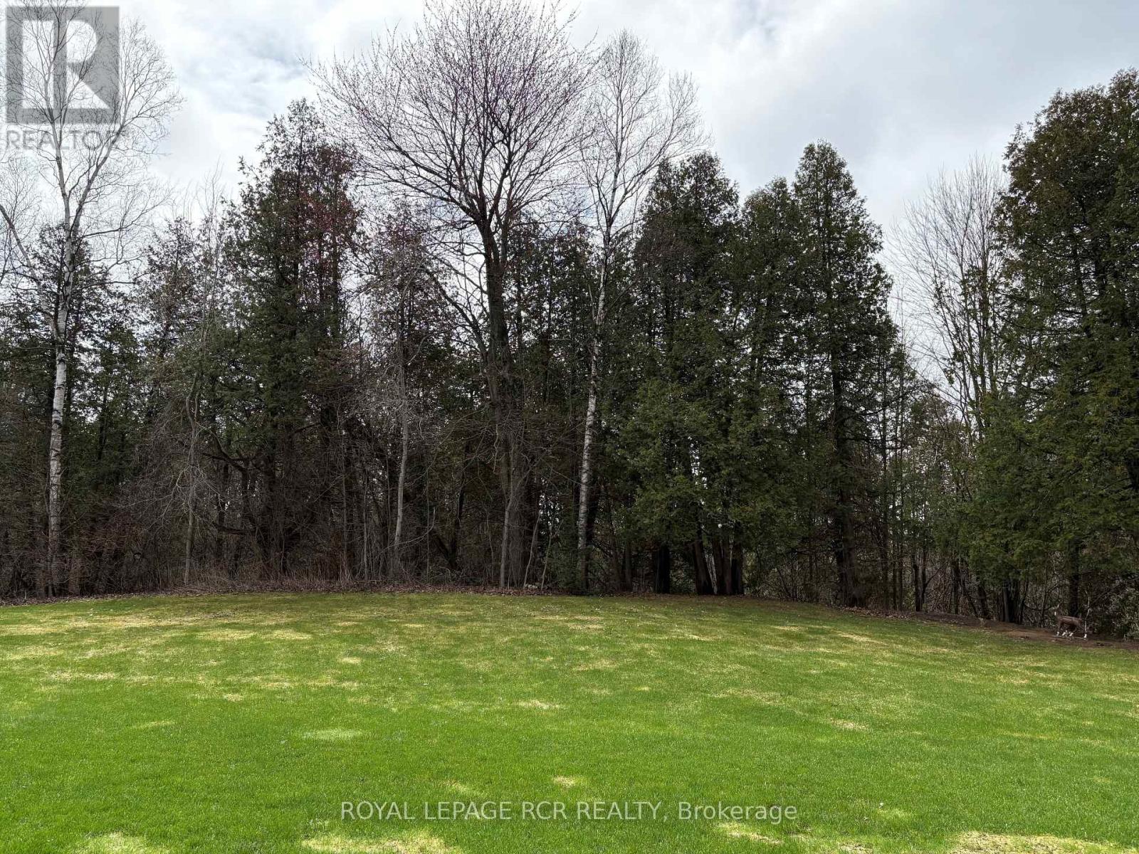 196 Riverview Road, New Tecumseth, Ontario  L9R 1Y2 - Photo 31 - N12704922