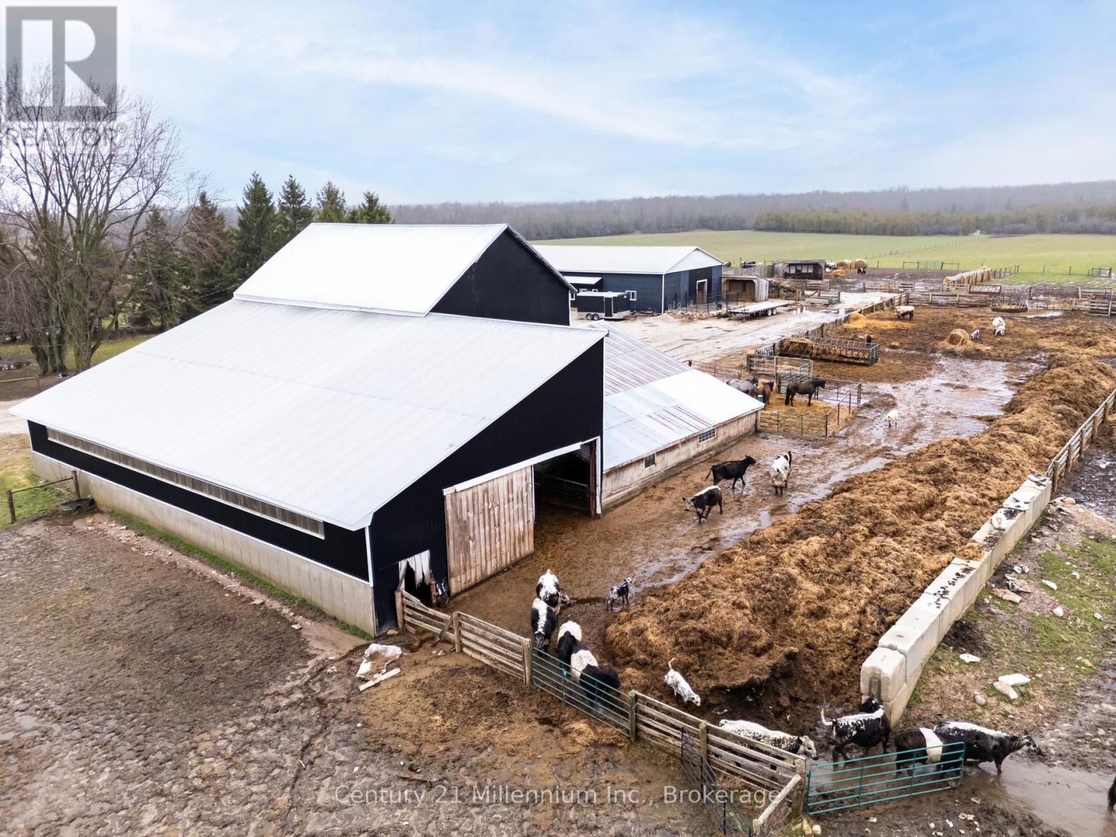 121097 12 Side Road, Georgian Bluffs, Ontario  N0H 2N0 - Photo 13 - X13012906
