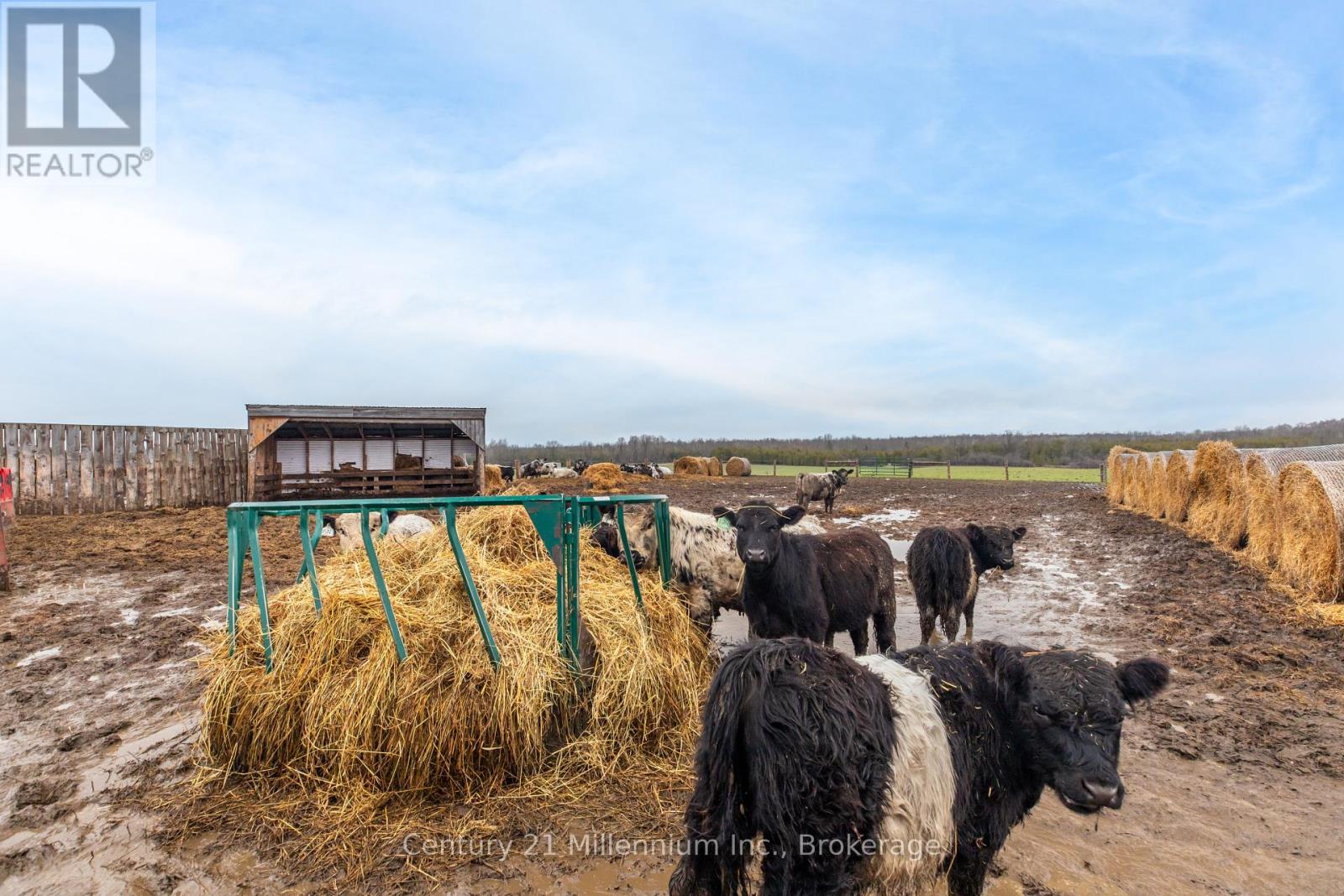 121097 12 Side Road, Georgian Bluffs, Ontario  N0H 2N0 - Photo 15 - X13012906