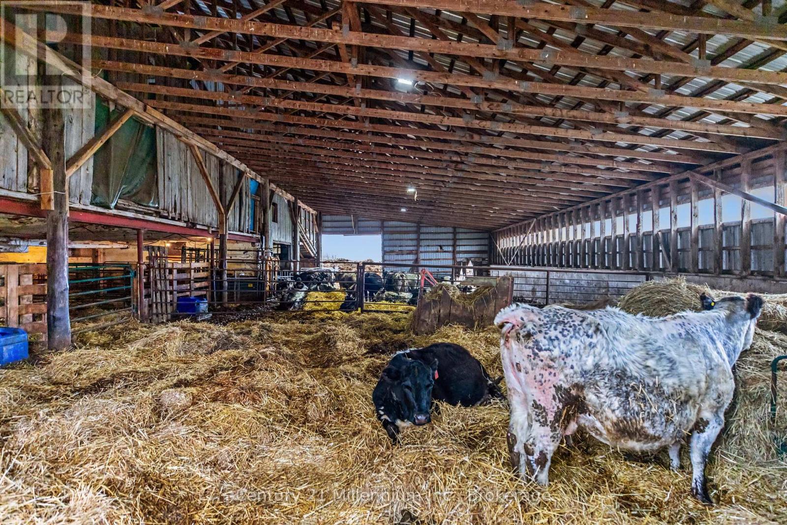 121097 12 Side Road, Georgian Bluffs, Ontario  N0H 2N0 - Photo 16 - X13012906