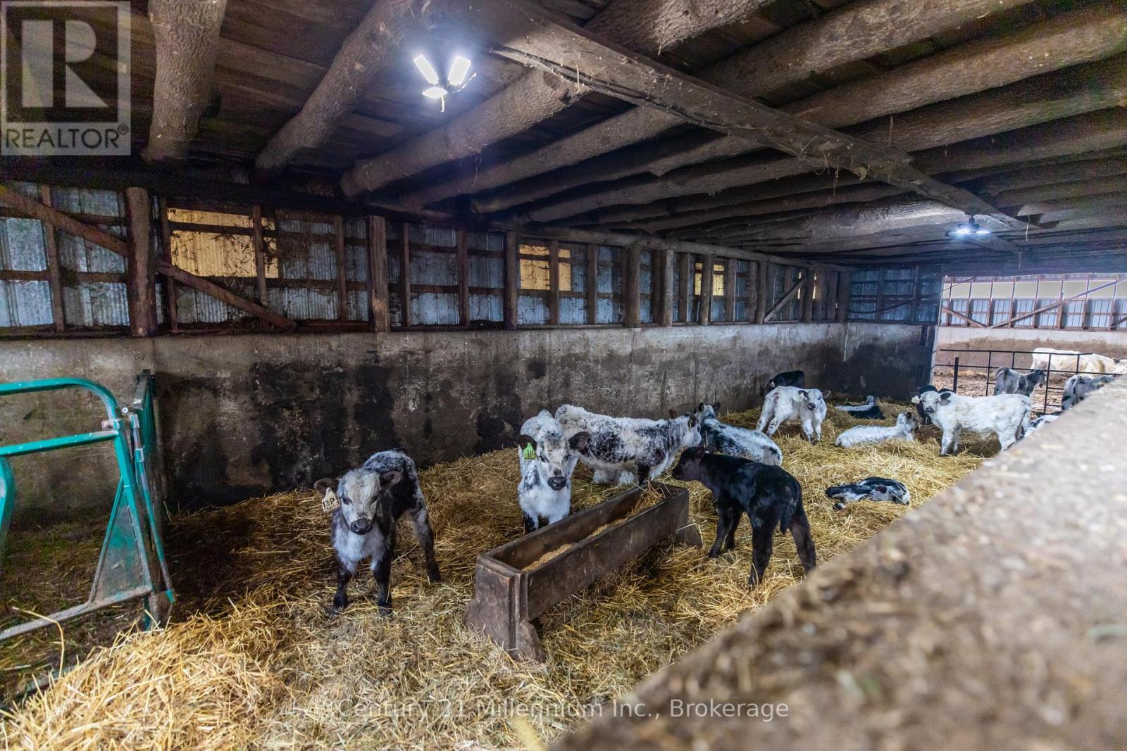 121097 12 Side Road, Georgian Bluffs, Ontario  N0H 2N0 - Photo 17 - X13012906