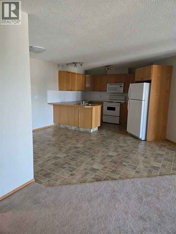 313, 260 Duston Street, Red Deer, Alberta  T4P 3E5 - Photo 9 - A2289612