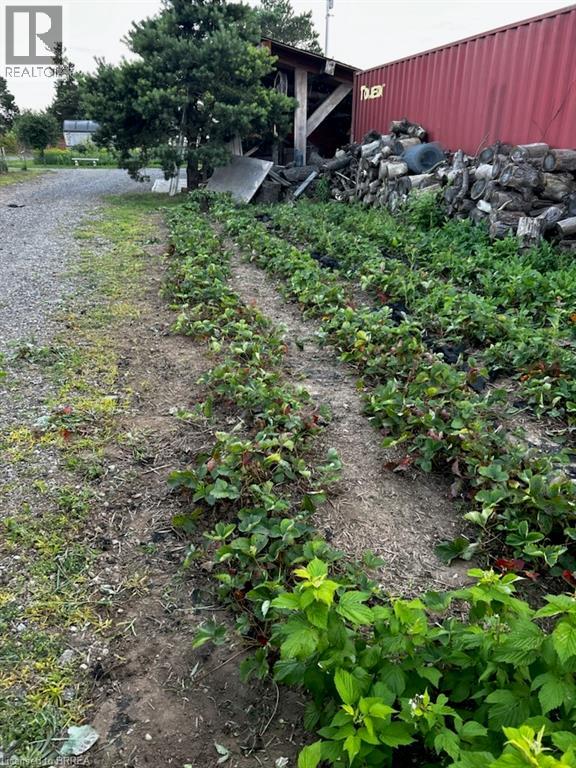 1030 Colborne Street W Unit# Lot C, Brantford, Ontario  N3T 5L7 - Photo 8 - 40821708