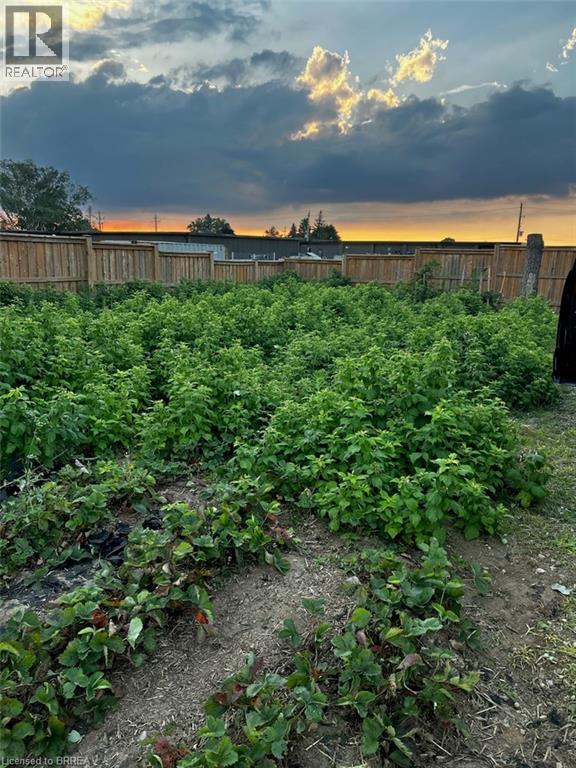 1030 Colborne Street W Unit# Lot C, Brantford, Ontario  N3T 5L7 - Photo 9 - 40821708