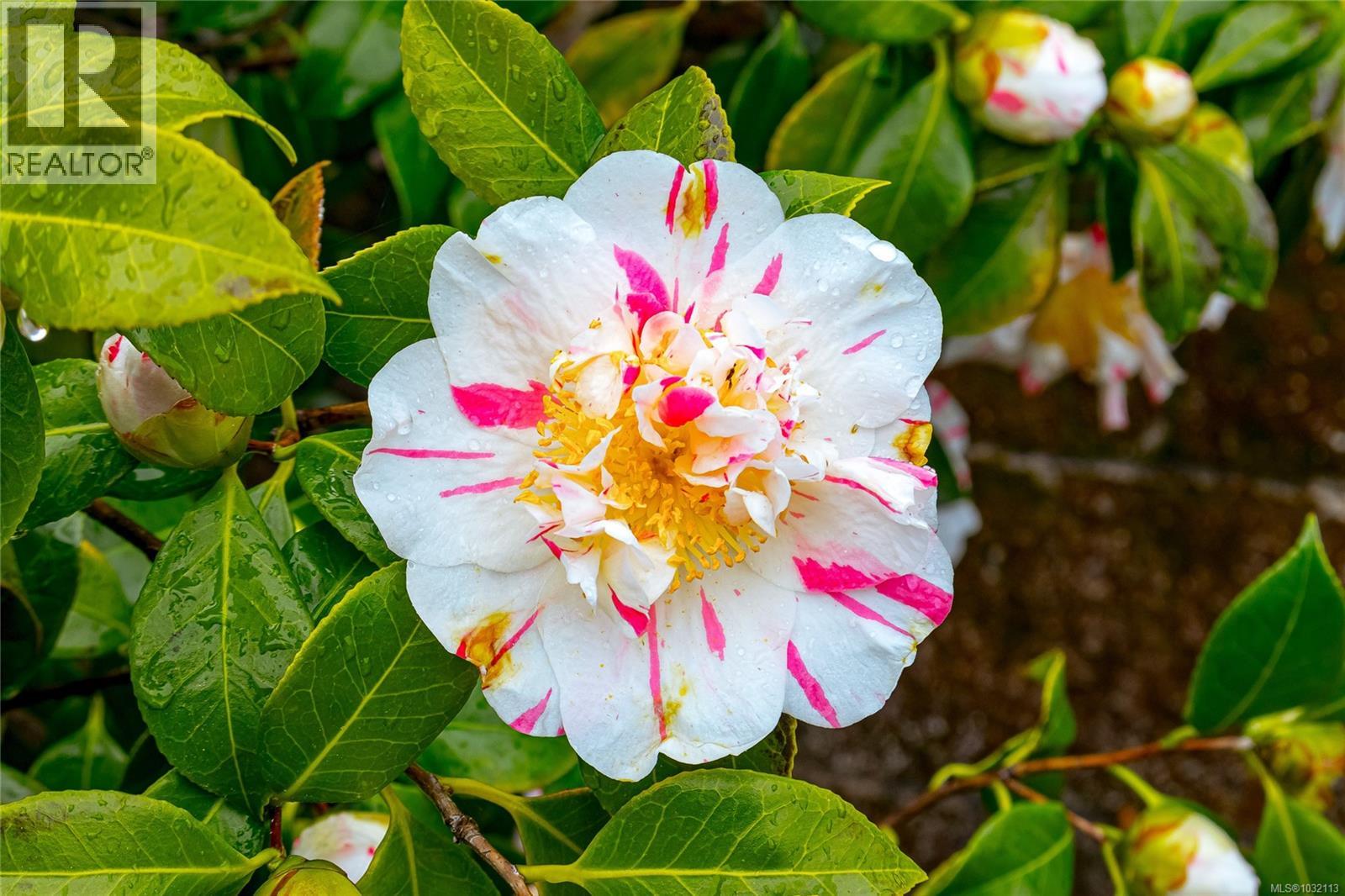 8008 Glenhurst Dr N, Crofton, British Columbia  V0R 1R0 - Photo 21 - 1032113