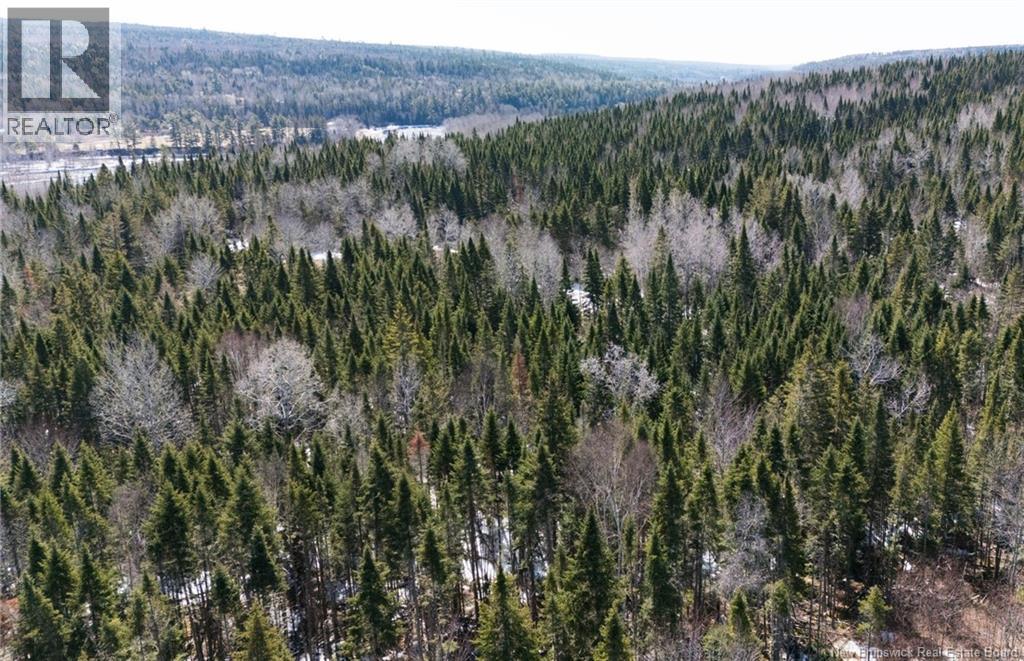 Lot Route 107, Nashwaak Bridge, New Brunswick  E6C 2G8 - Photo 3 - NB137367