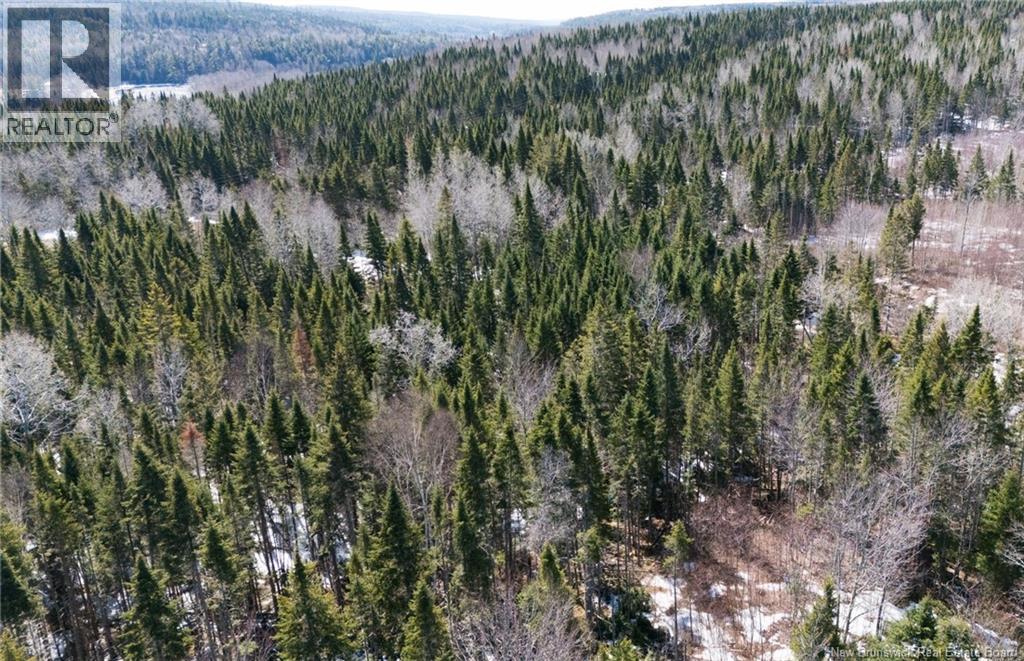 Lot Route 107, Nashwaak Bridge, New Brunswick  E6C 2G8 - Photo 4 - NB137367