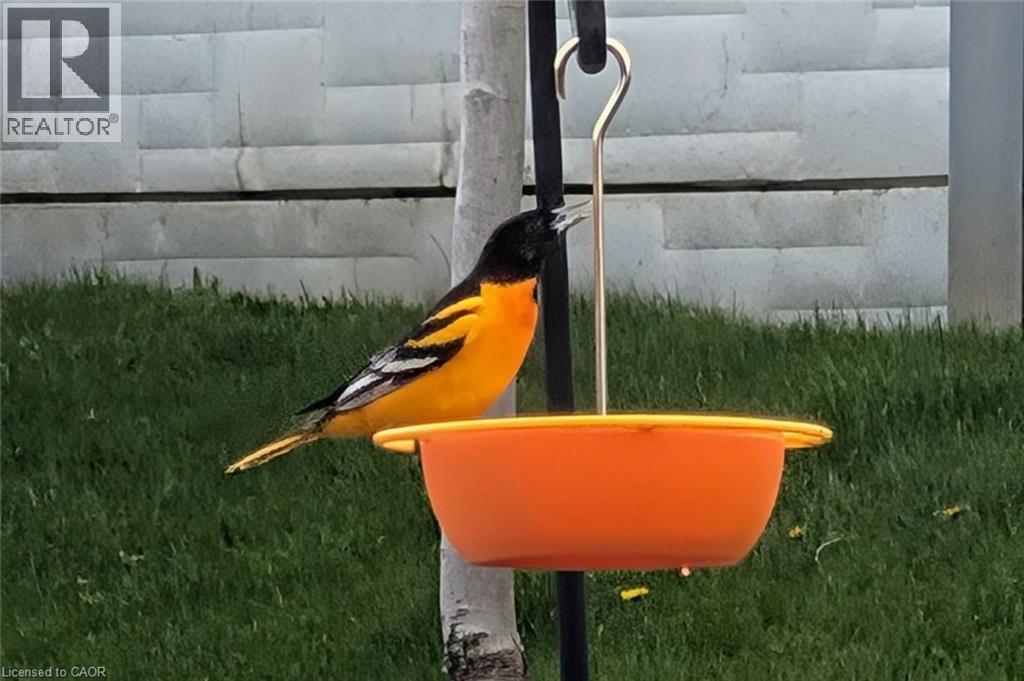 19 Dyment Court, Ancaster, Ontario  L9G 0E1 - Photo 31 - 40821887