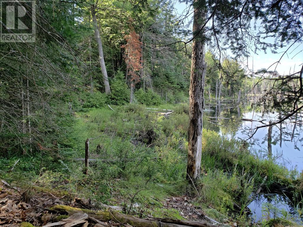 0 Unopened Road Allowance Road, Mckellar, Ontario  P2A 2W7 - Photo 10 - X13013044