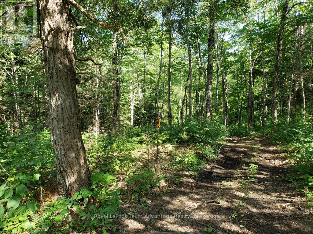 0 Unopened Road Allowance Road, Mckellar, Ontario  P2A 2W7 - Photo 11 - X13013044