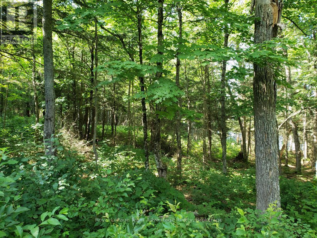 0 Unopened Road Allowance Road, Mckellar, Ontario  P2A 2W7 - Photo 12 - X13013044