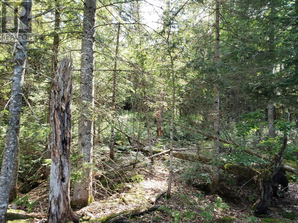 0 Unopened Road Allowance Road, Mckellar, Ontario  P2A 2W7 - Photo 14 - X13013044