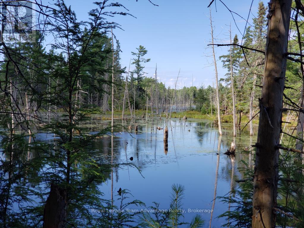 0 Unopened Road Allowance Road, Mckellar, Ontario  P2A 2W7 - Photo 15 - X13013044