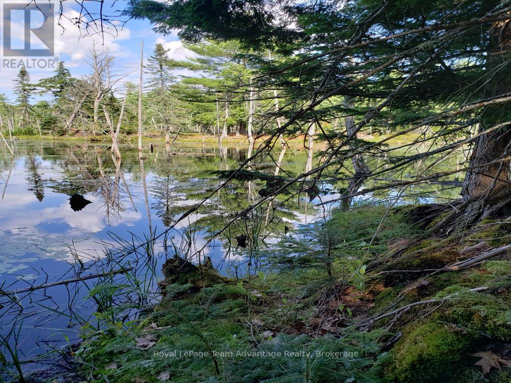 0 Unopened Road Allowance Road, Mckellar, Ontario  P2A 2W7 - Photo 16 - X13013044