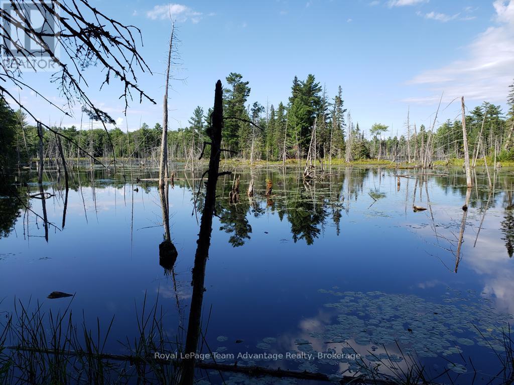 0 Unopened Road Allowance Road, Mckellar, Ontario  P2A 2W7 - Photo 17 - X13013044