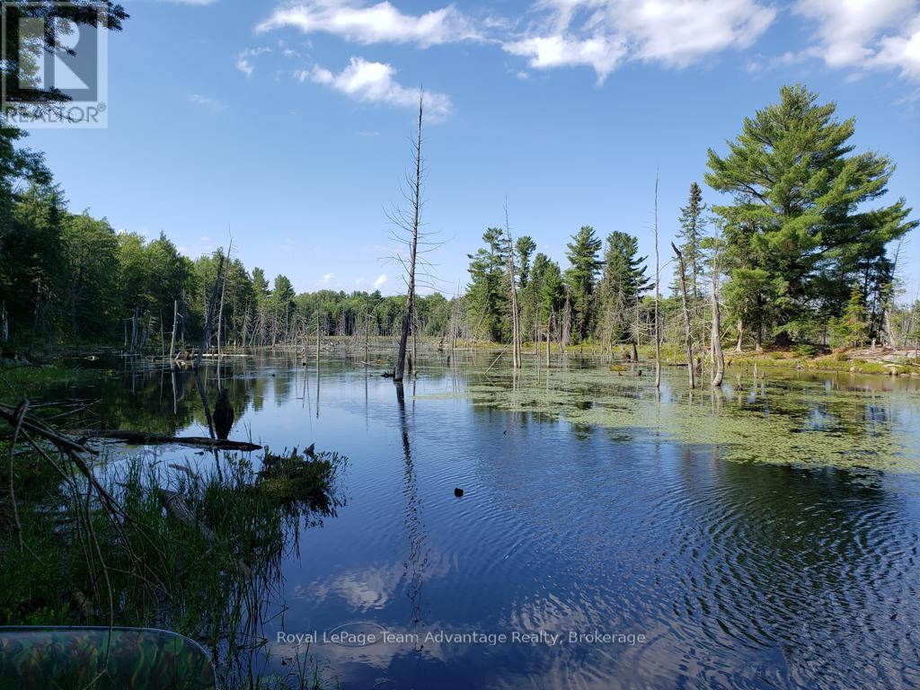 0 Unopened Road Allowance Road, Mckellar, Ontario  P2A 2W7 - Photo 18 - X13013044