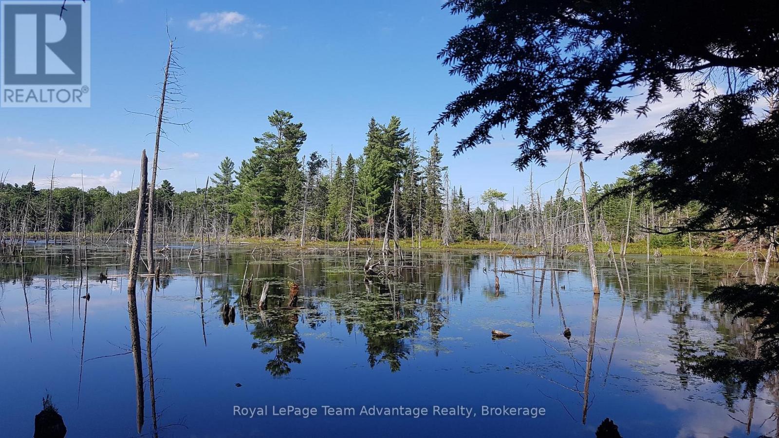 0 Unopened Road Allowance Road, Mckellar, Ontario  P2A 2W7 - Photo 2 - X13013044