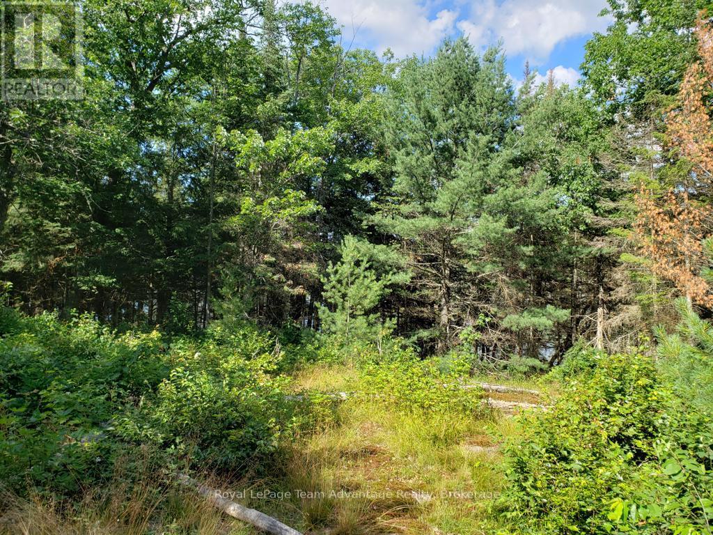 0 Unopened Road Allowance Road, Mckellar, Ontario  P2A 2W7 - Photo 3 - X13013044