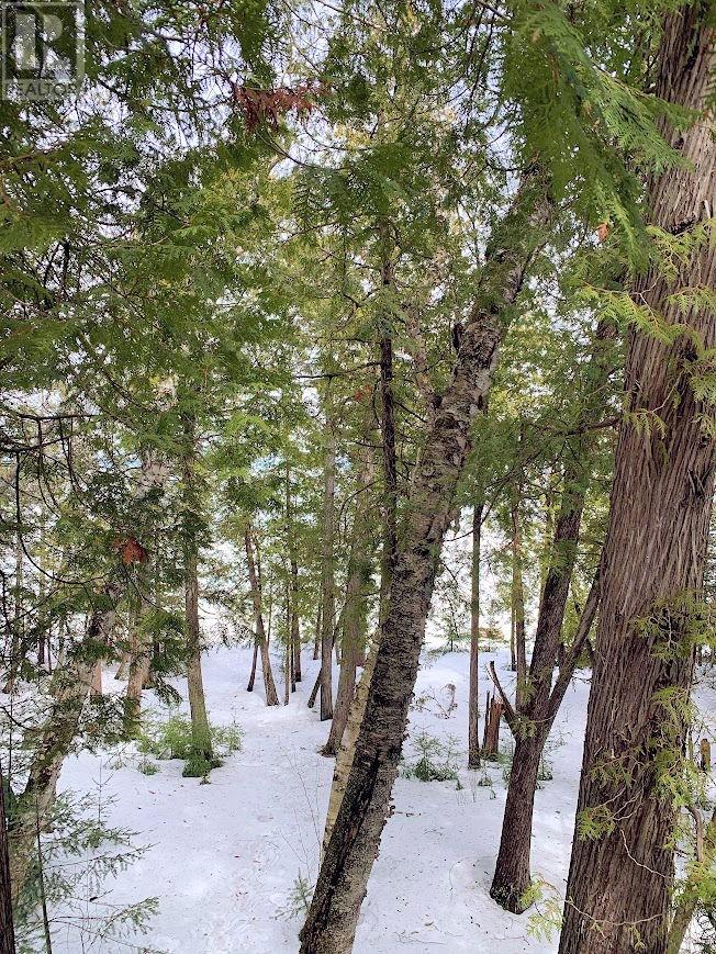 642 Water Street, Meldrum Bay, Ontario  P0P 1R0 - Photo 31 - 2127173