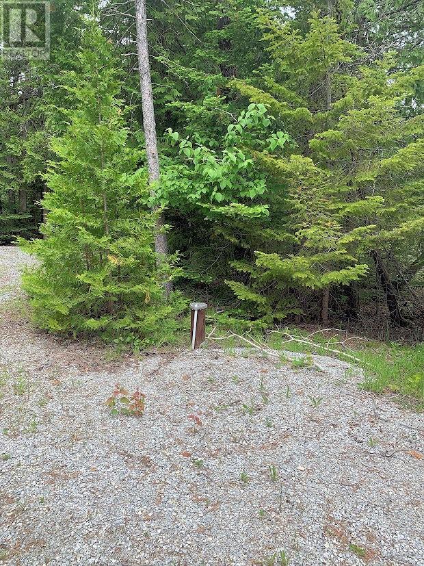 642 Water Street, Meldrum Bay, Ontario  P0P 1R0 - Photo 39 - 2127173